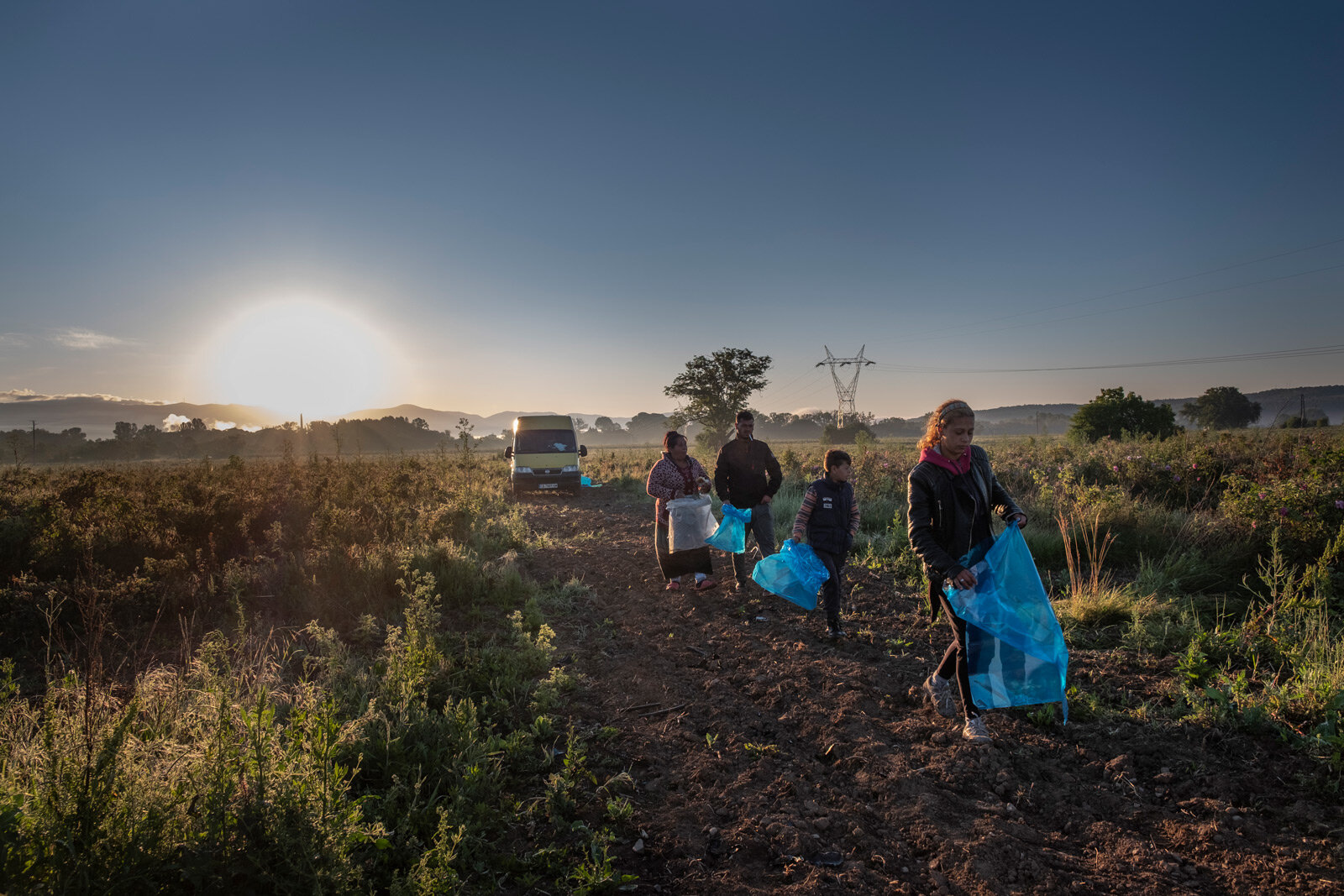 A team of workers arrives at dawn to pick roses for the Intermed Distillery near the village of Pavel Banya in the Valley of the Roses.