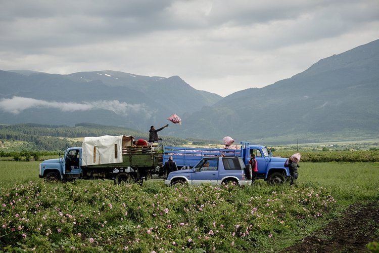 Behind the Story: Jodi Hilton